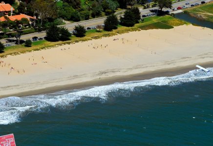 6103 Volleyball Viewers