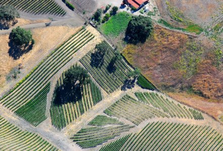 6645 Shapes & Textures