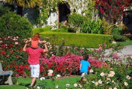 DSC_6670 Running In Roses