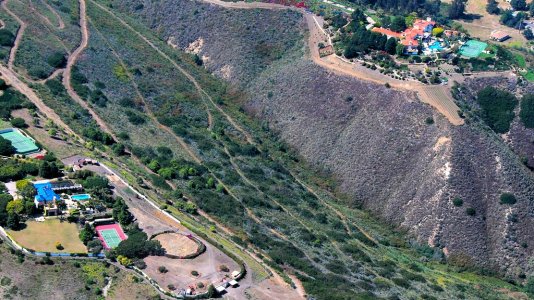 6770 Another Eyelash