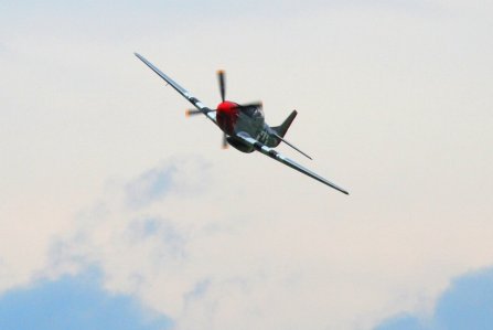 8574 Here Comes Fun!