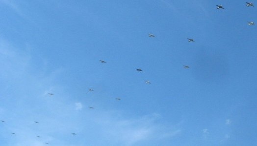 1320 C-47 Flyover