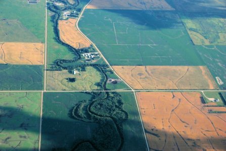 0087 Shadow Shapes 0087 Shadow Shapes