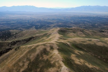 8121 Softly Patterned Hilltop