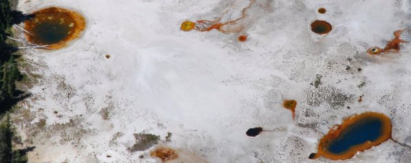 8377 Lakeshore Landscape