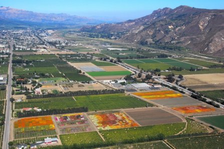 1060 Santa Paula Beautiful