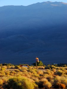 1279 Morning Paintbrush