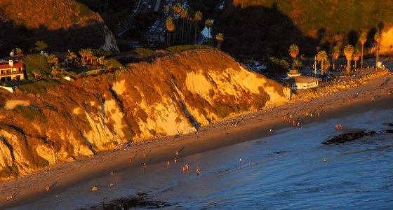 1853 Hendry's Walkers