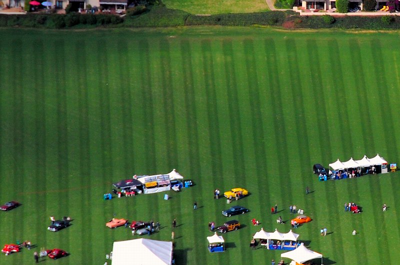 3046 Condo Polo Cars