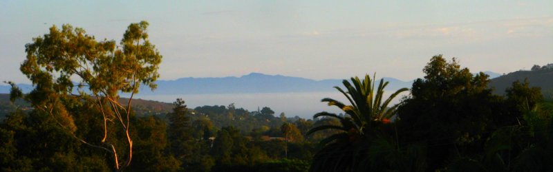 0661 Floating Island