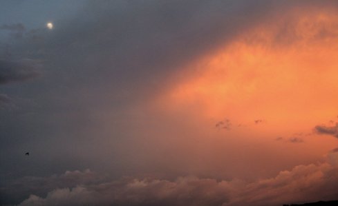 0749 Magic 0749 Magic