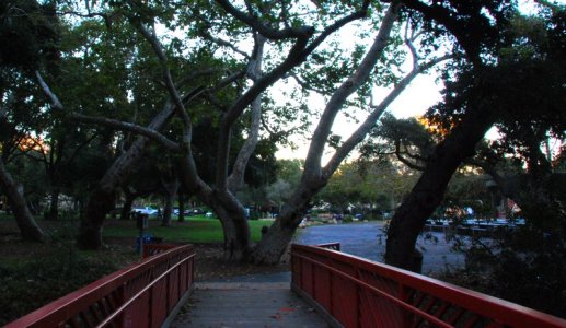 3141 Bridge to Branch