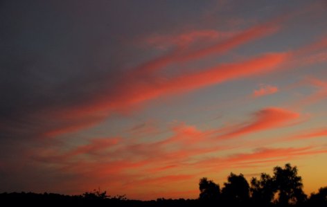 3288 Sunset South Sky