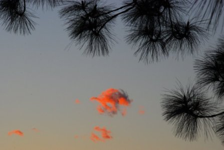 3323 More Puff Clouds