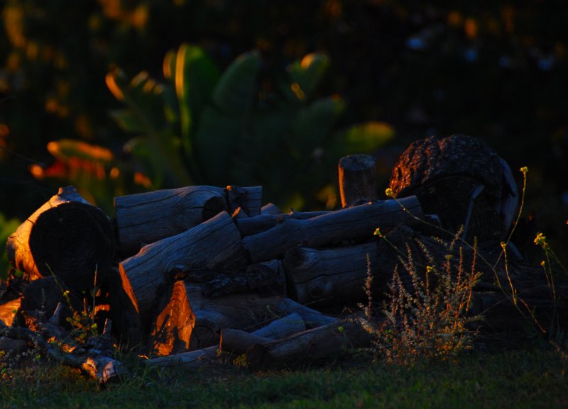 3439 Wood, Colors, Shadows