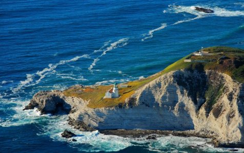 3630 Point Conception Light