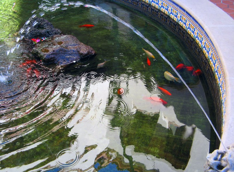 0797 Arcada Reflections