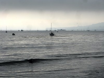 0801 Butterfly Beach - black&white day
