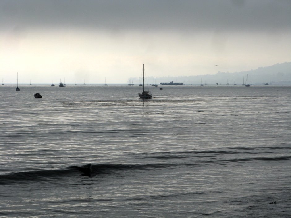 0801 Butterfly Beach - black&white day