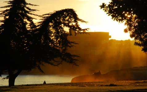 3770 UCSB Surf Mist Sunset