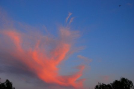 4291 Sunset Approach