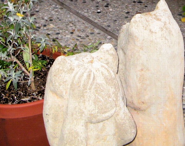 1248 Monkey Business