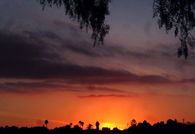 1250 Layers of Light