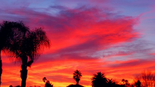 5253 Surprise Sunset