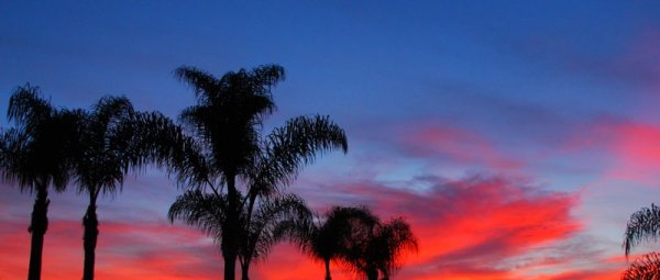 5254 Unexpected Color