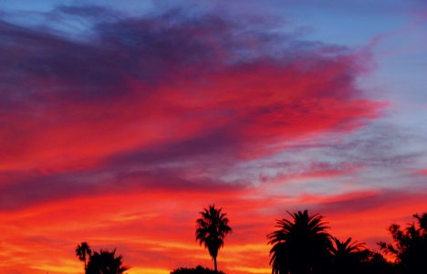 5257 Deepening Colors