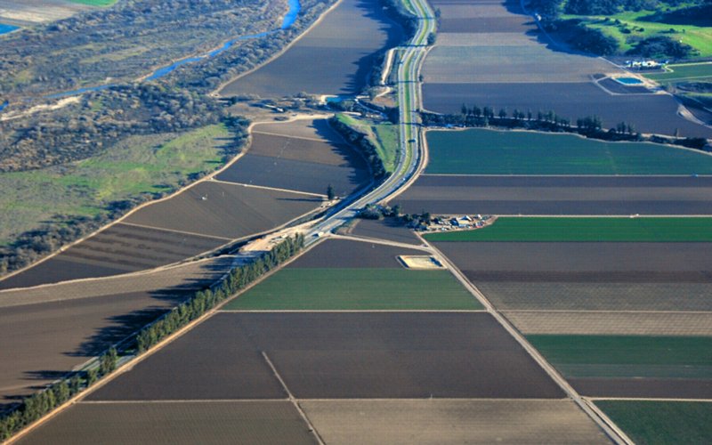 5307 Stages of Green