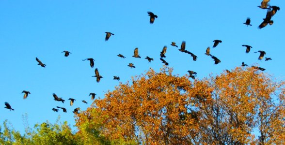 5312 Fear and Loathing