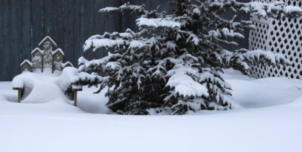 5730 Boundless Blanket