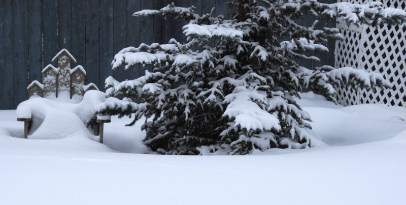 5730 Boundless Blanket