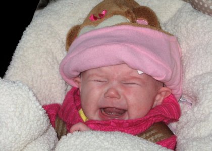 1505 Fashion or Furniture?