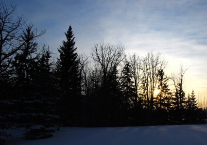 5753 Snow, Shadows, and Light