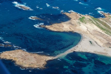 6048 Pinniped Paradise 