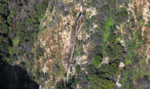 6324 Thin White Line