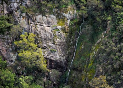 6501 Mist & Stone 6501 Mist & Stone