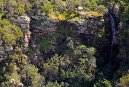 6504 Ancient Watermark