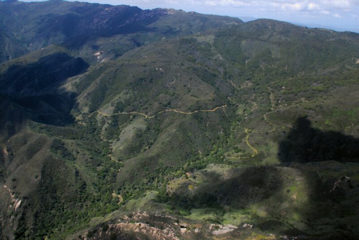 6530 Rock Pool Setting