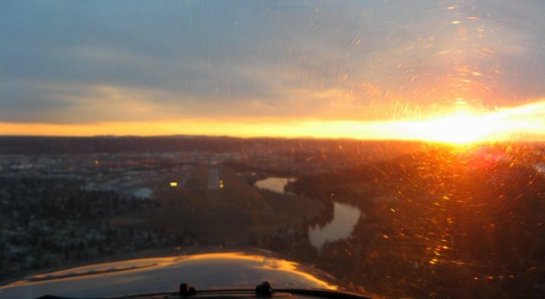 1694 Golden Greeting