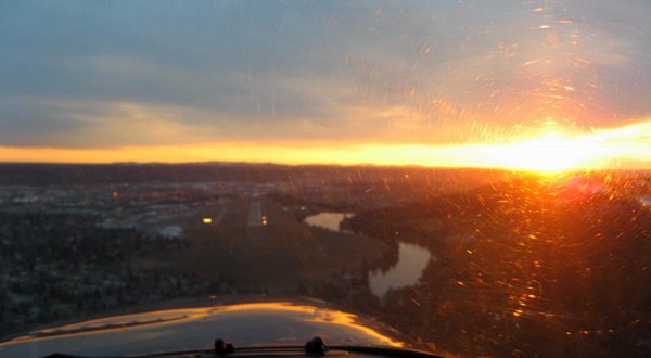 1694 Golden Greeting