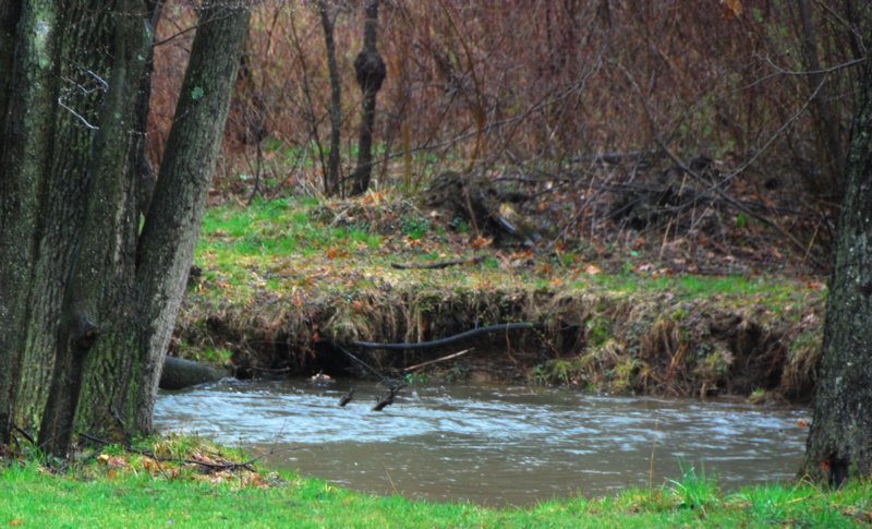 7504 Ancestral Creek