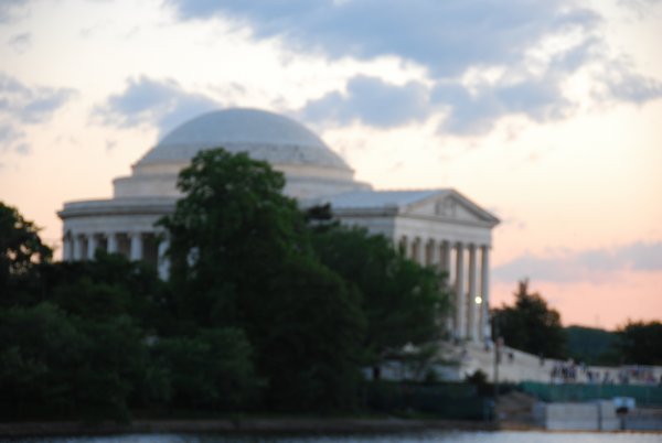 8554 Fuzzy Jefferson