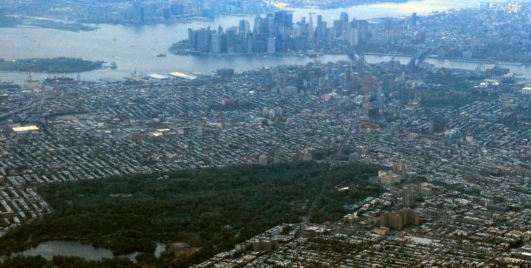 8576 NYC Afar A-fuzz