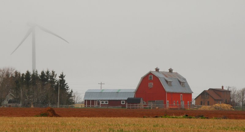 0087 Vanishing Windmill