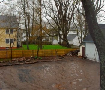 0133 Backyard Wetland