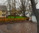 0133 Backyard Wetland