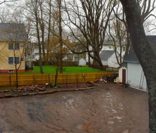0133 Backyard Wetland